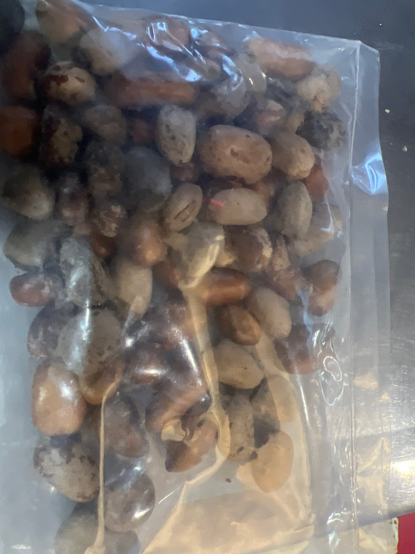 African Nutmeg (Ehuru whole)