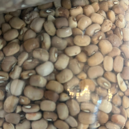 Authentic HONEY BEANS 11LB