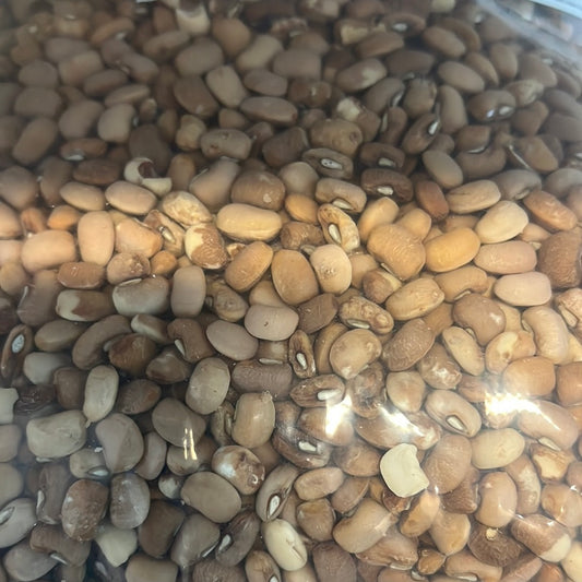 Authentic BROWN  BEANS 11LB