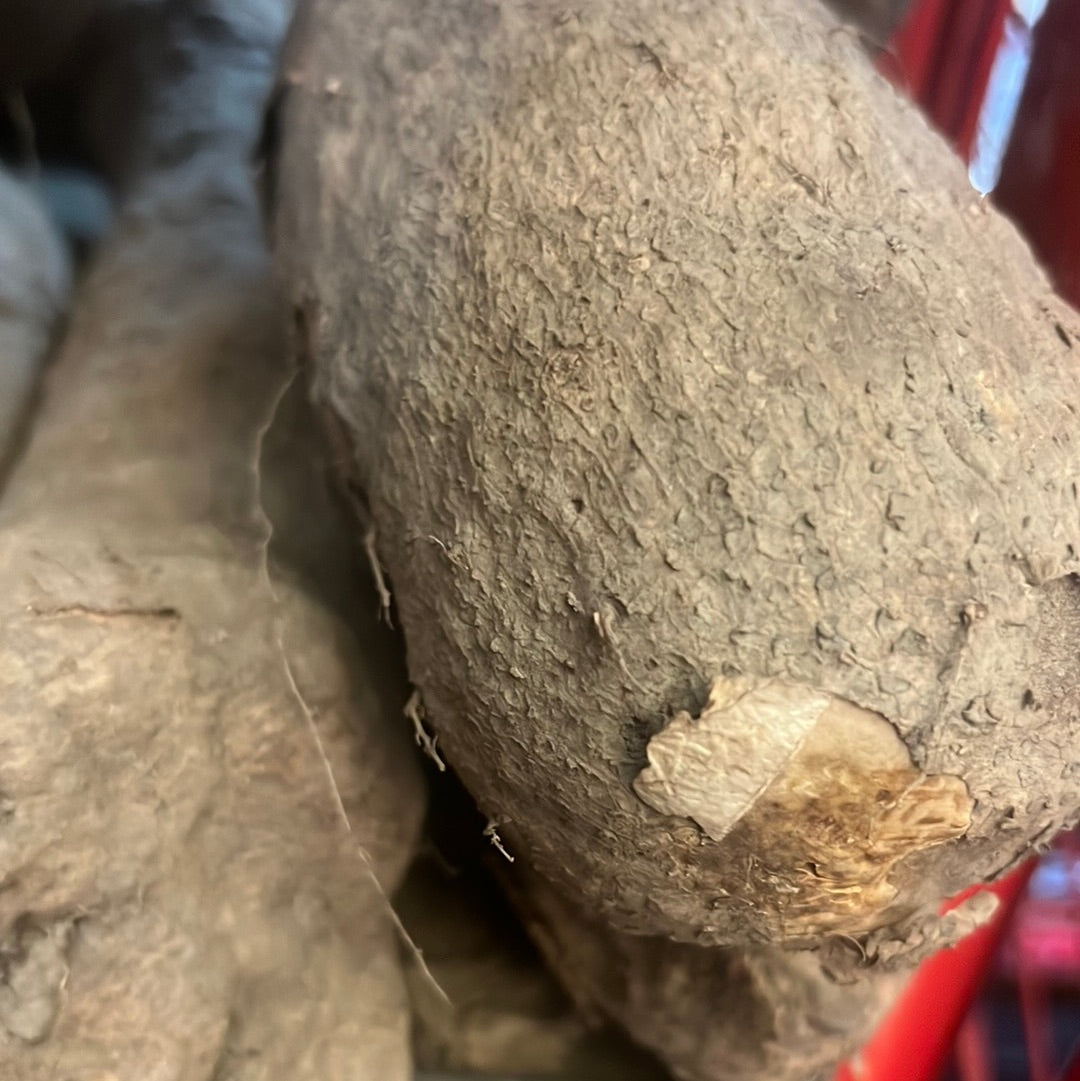 NEW Yam  3.3lbs