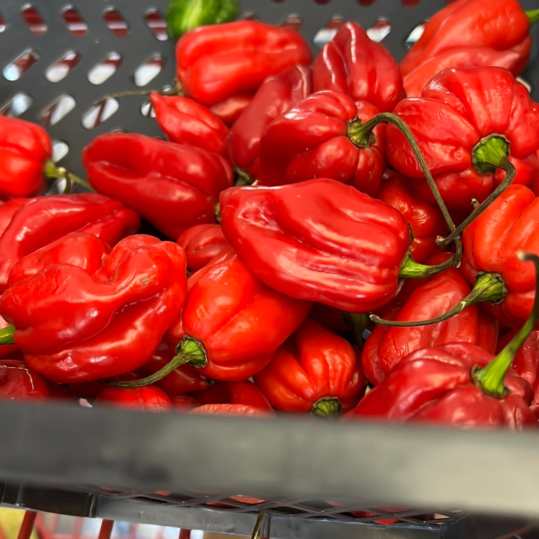 Habanero Peppers @ 6.99/lb