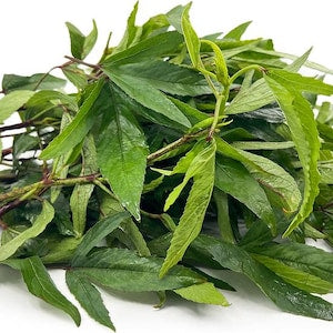 Sour Sour leaves