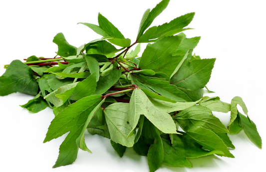 Sour Sour leaves