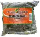 Water Leaves Frozen