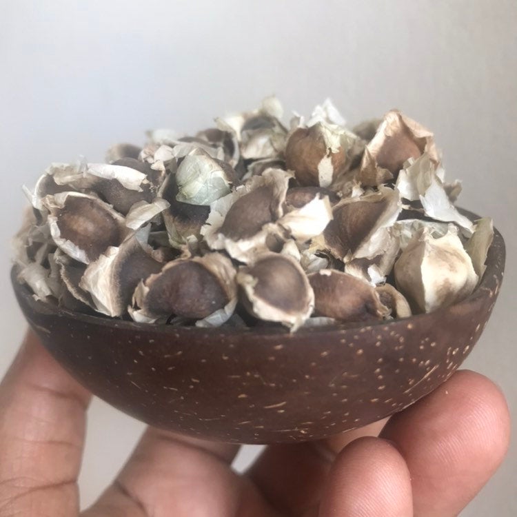 Jamaican Moringa Oleifera Seeds (Raw, Organic)