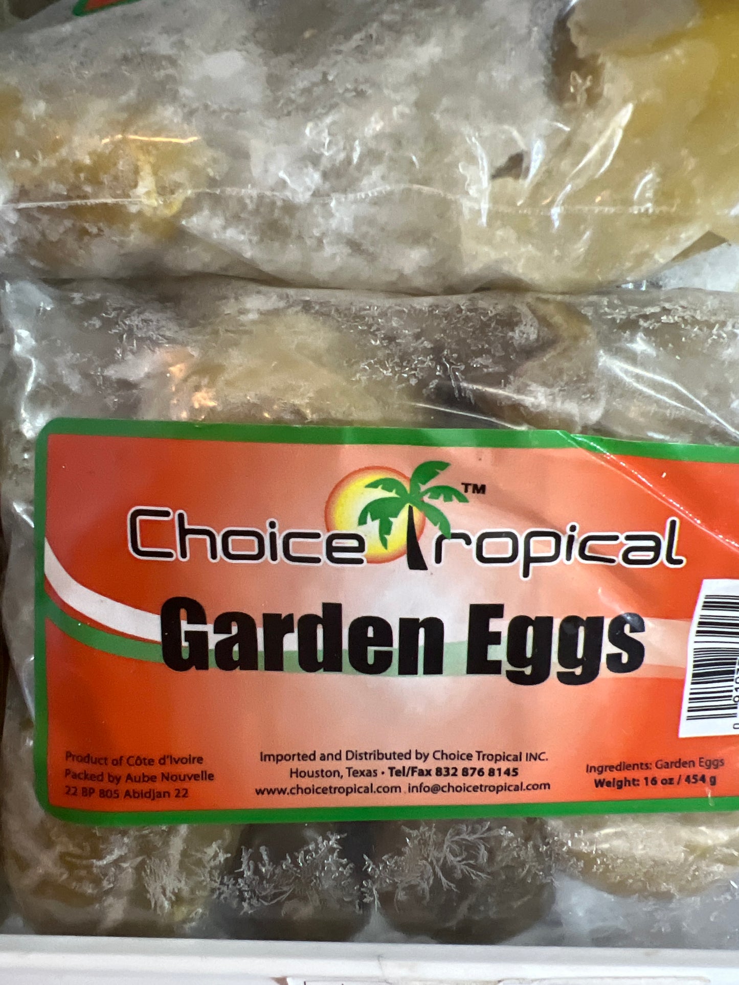 CT Garden Egg