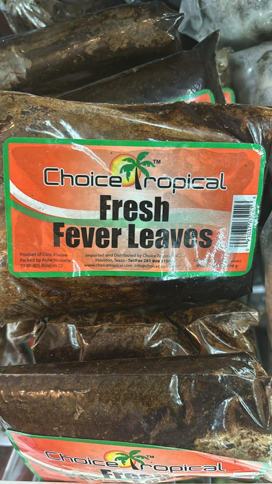 ChoiceTropical FEVER Leaves